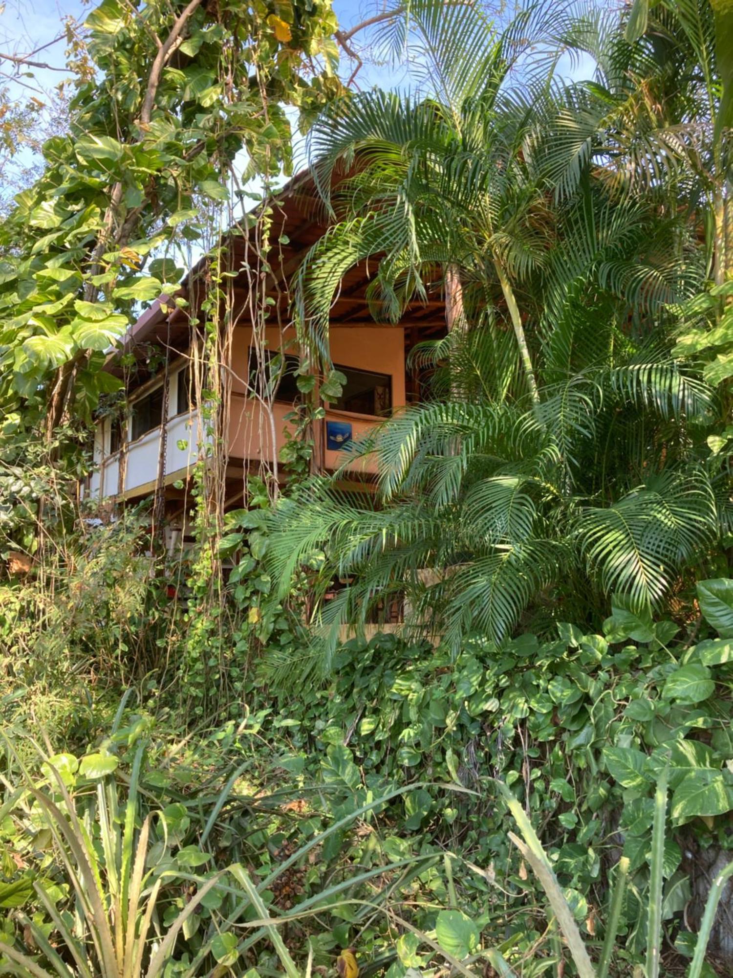 Mundo Milo Eco Lodge Paraíso Buitenkant foto